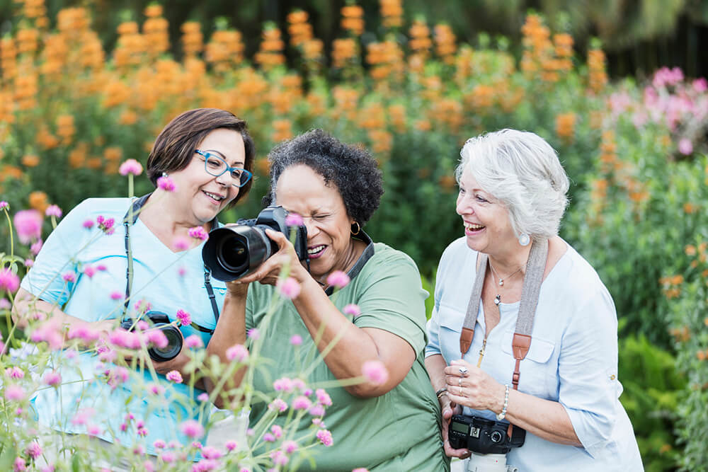 three women with cameras photographing nature