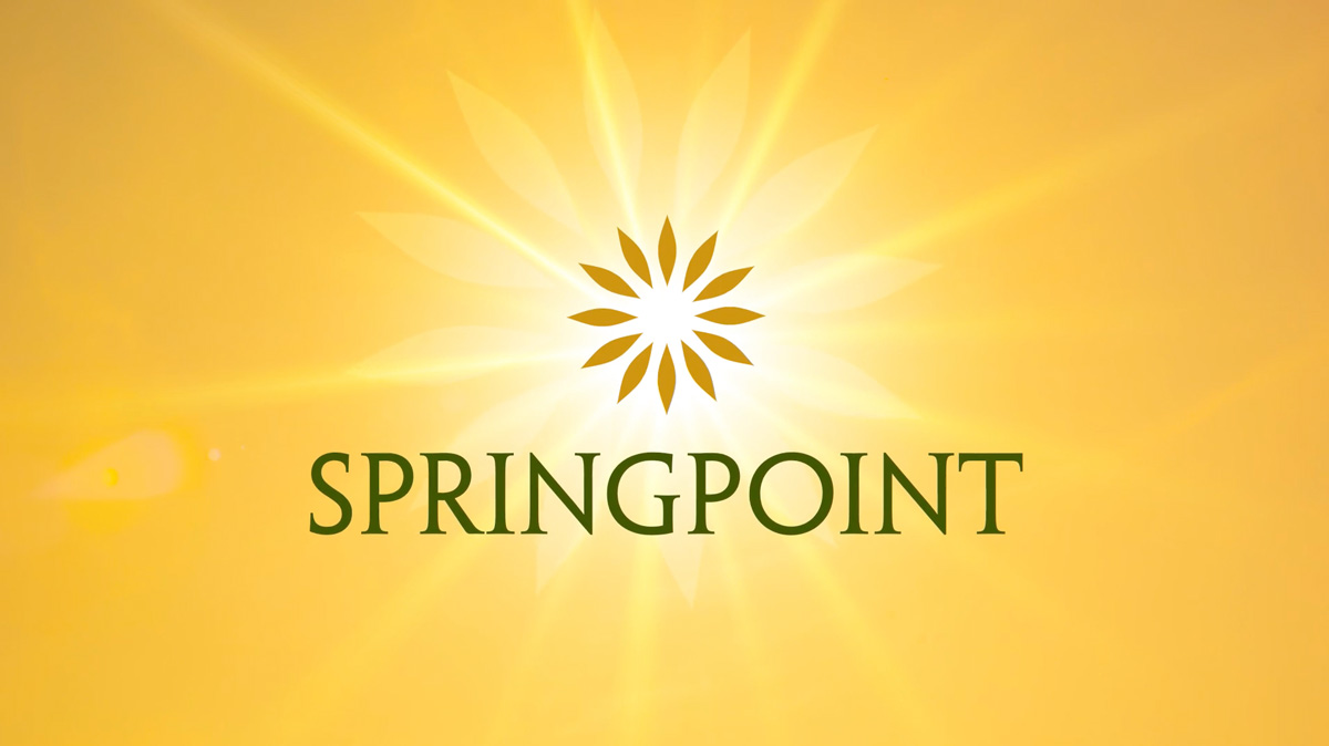 Springpoint logo, yellow background