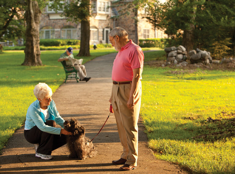 seniors outside walking a dog