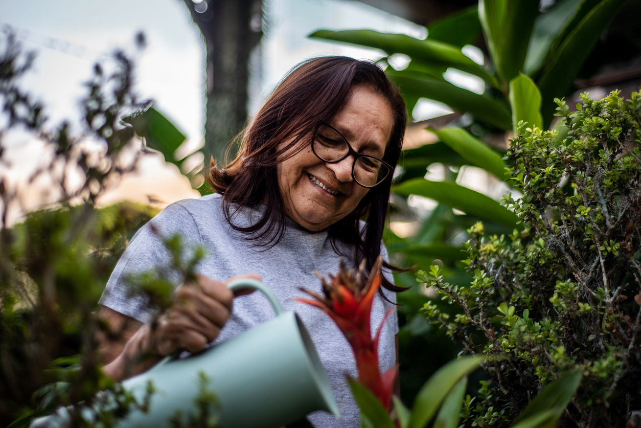 An older woman enjoys watering her late summer garden